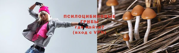 ALPHA-PVP Алексин